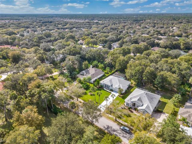 Another aerial view