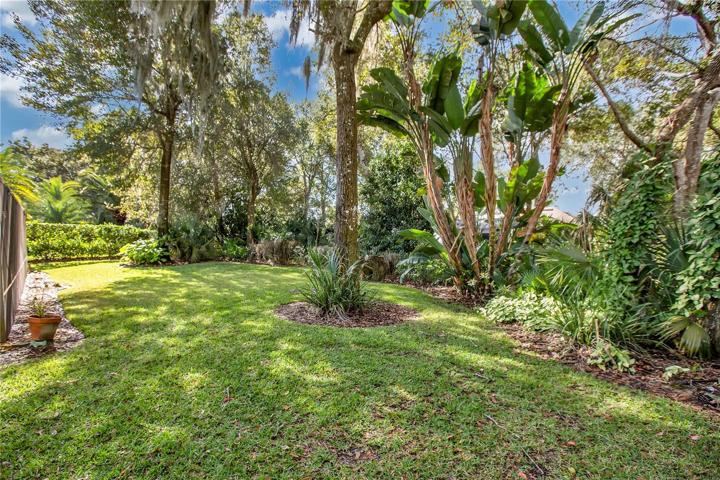 Stroll among the trees in this well maintained backyard.