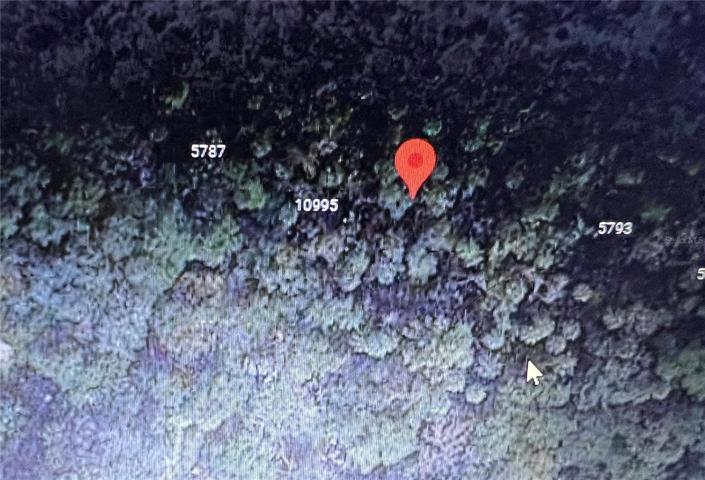 1170