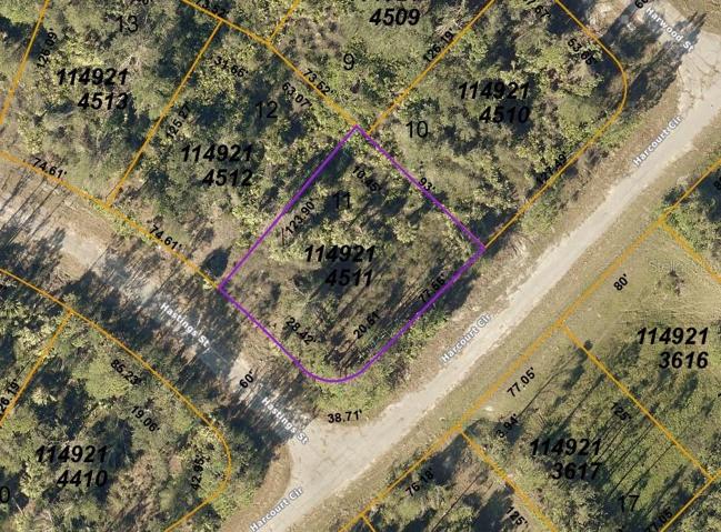 County map of lot