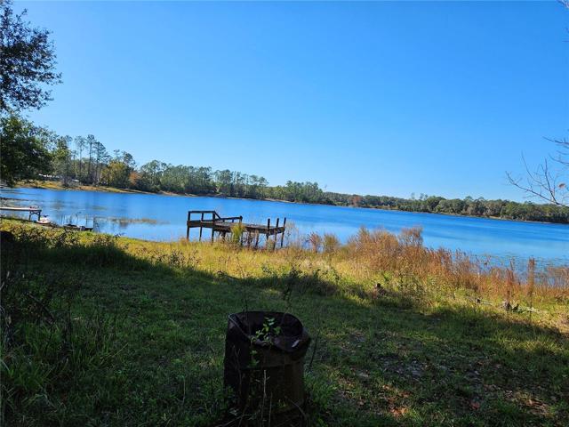 this is the view from your back porch