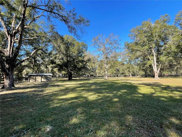 Pasture with Loafing shed