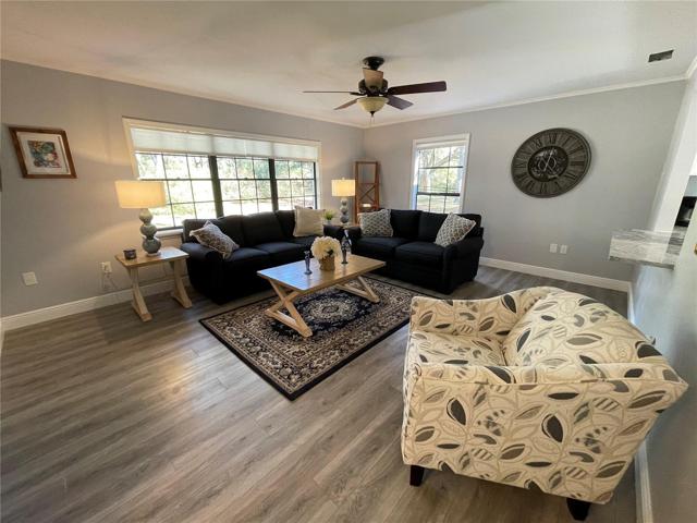 Spacious Den with Pass thru to Kitchen