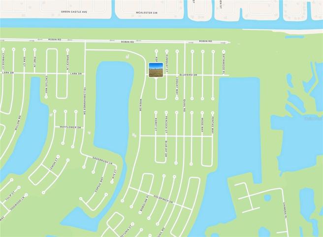Avocado Dr in Rotonda Meadows
