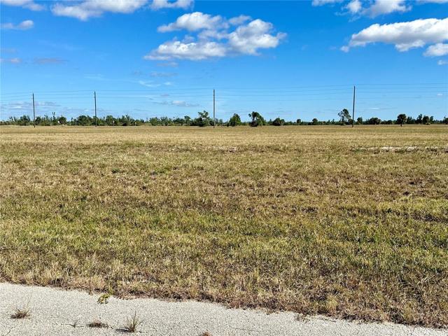 Cleared lots in Rotonda Meadows