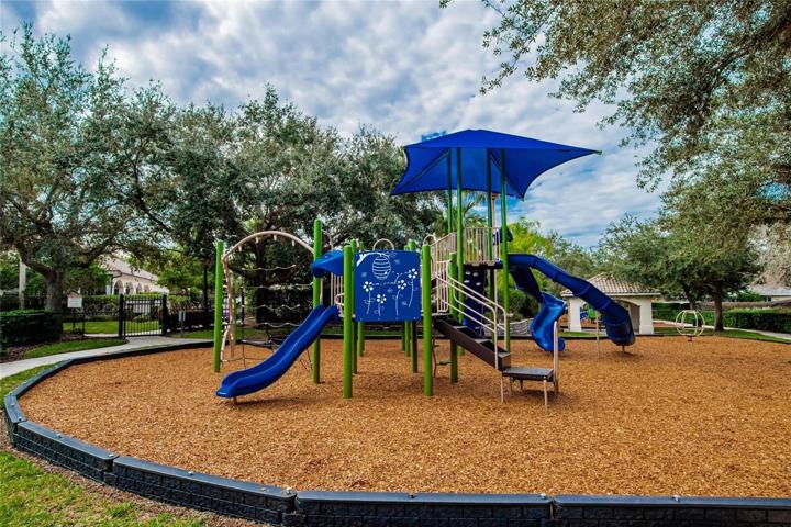 Playground/Park