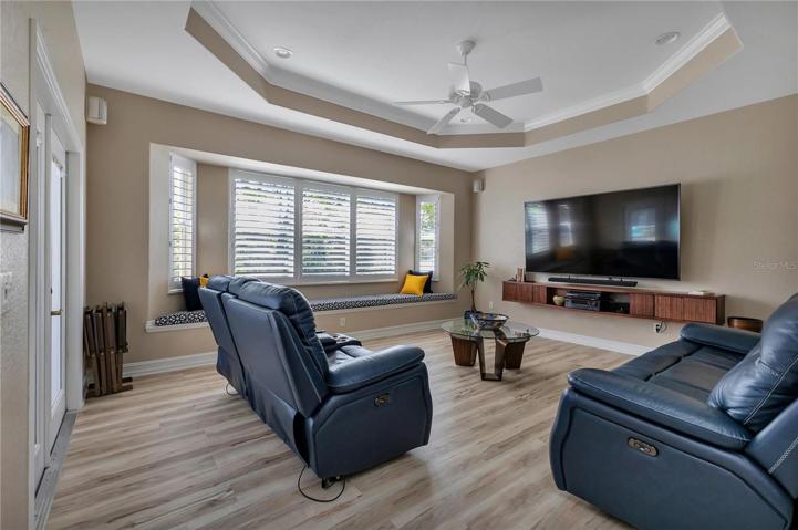 Family, media room