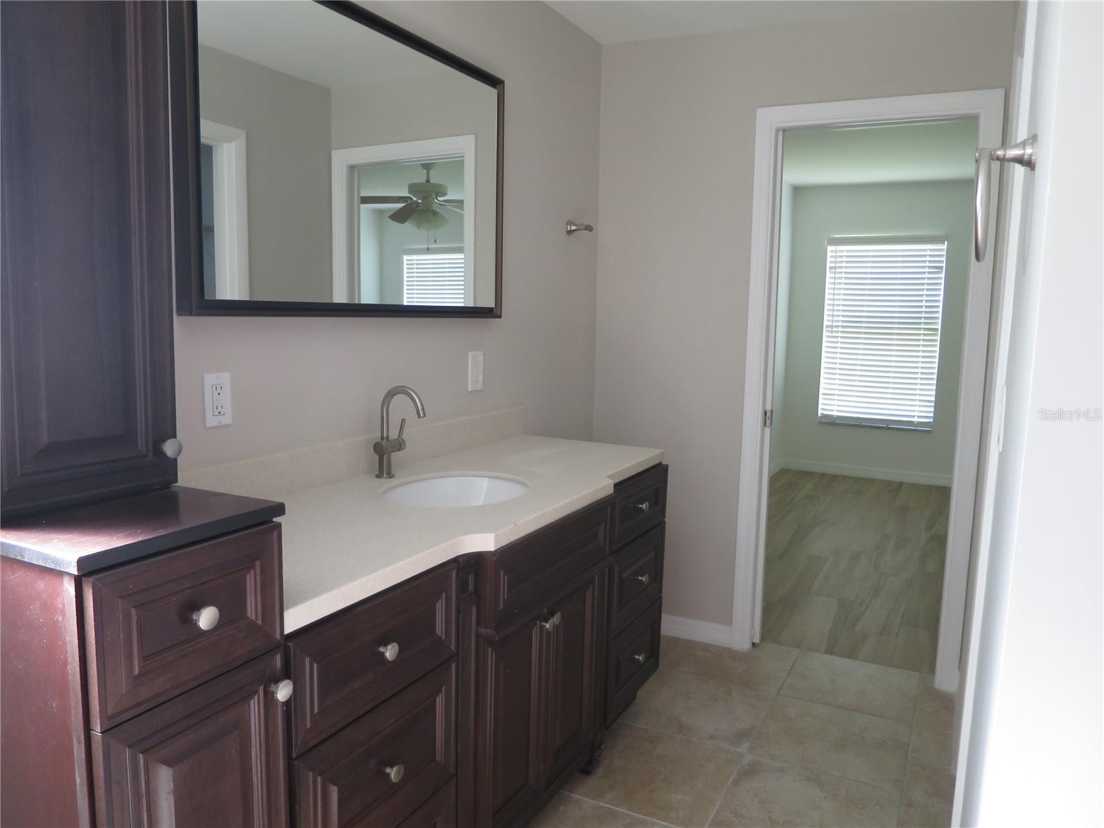 Master Bathroom vanity