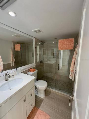 Master Bathroom view 2