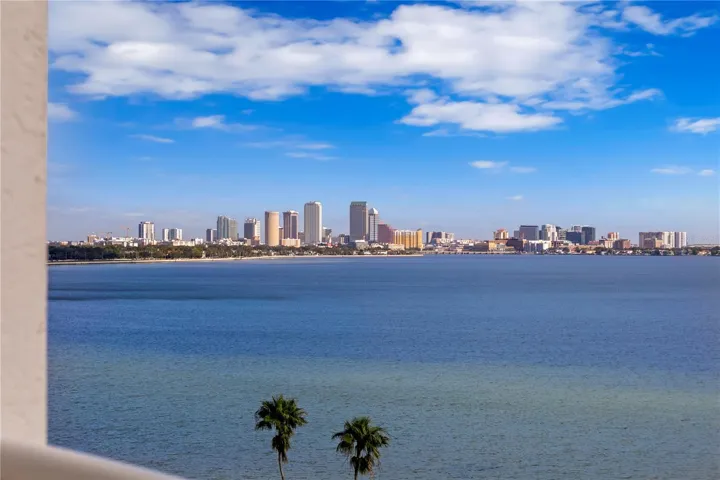 The views from across the bay of Downtown Tampa and Harbour Island