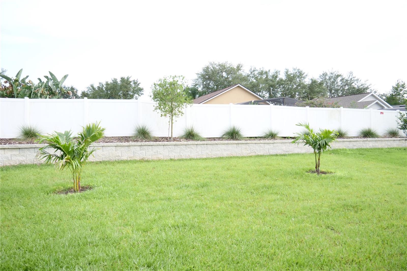 Flat back yard
