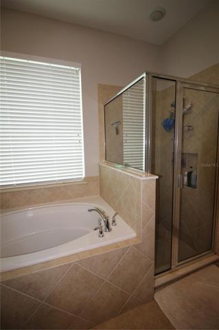 Master Tub/Shower