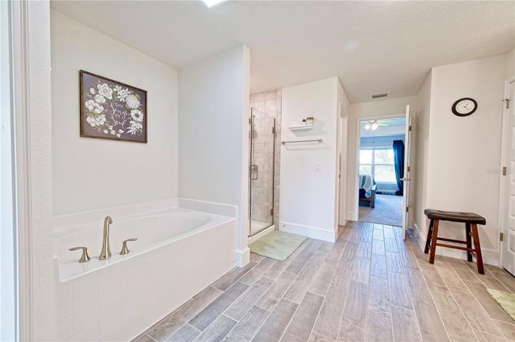 Master / Primary Bath with Tub and Walk In Shower