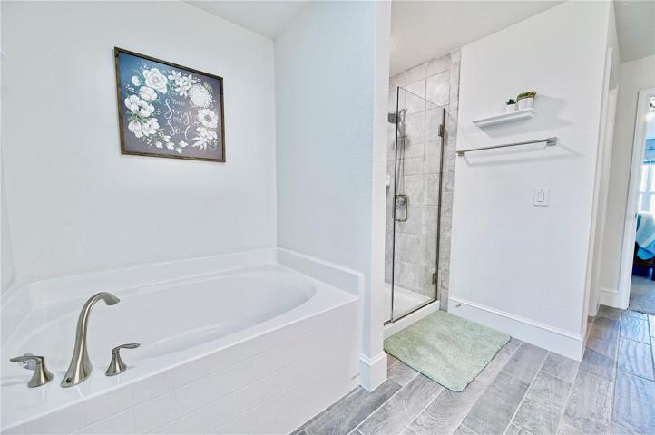 Primary Master Tub bath area