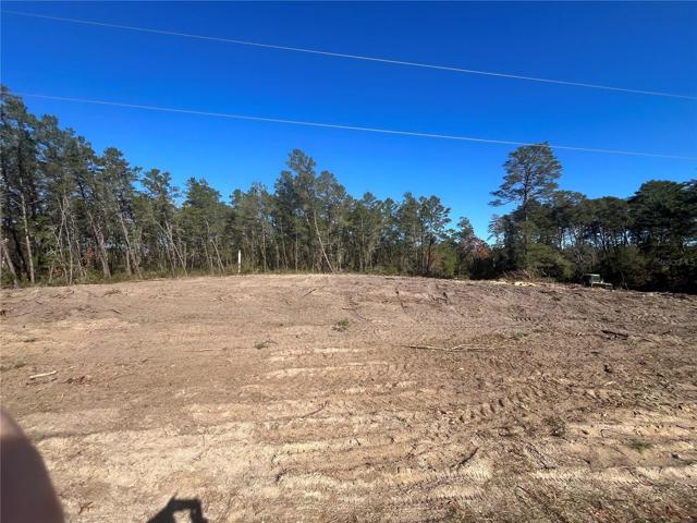 Lot 9
