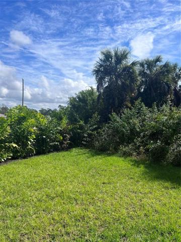 back yard