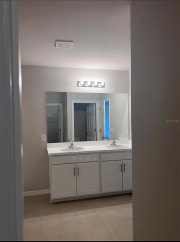 dual sinks