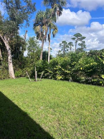 Back yard