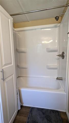 Main Shower/Tub