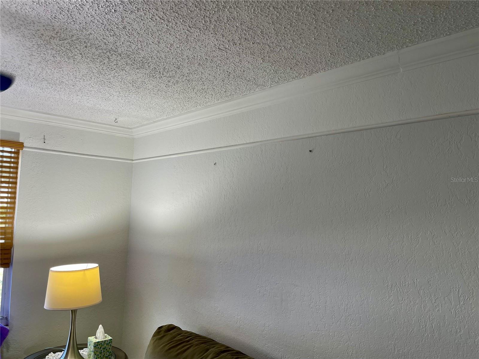 Living room ceilings, closer look at the crown molding