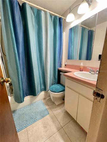 Hall bathroom