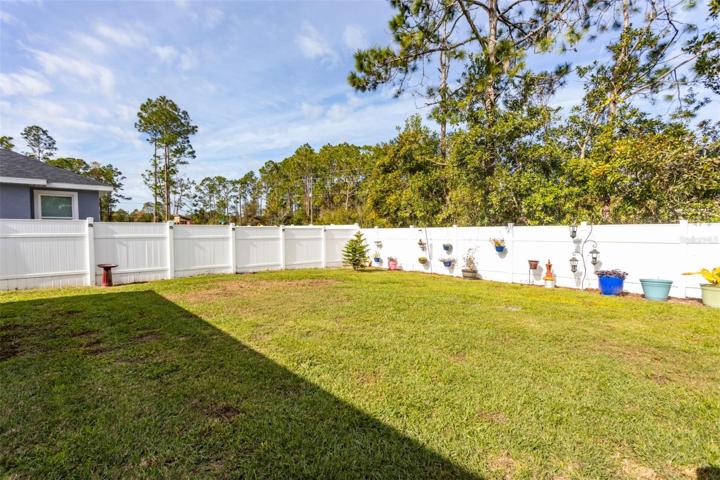 Fenced back yard!