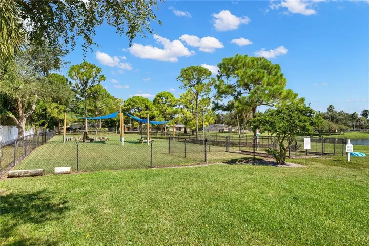 dog park
