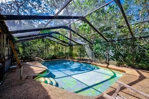 Large caged pool.