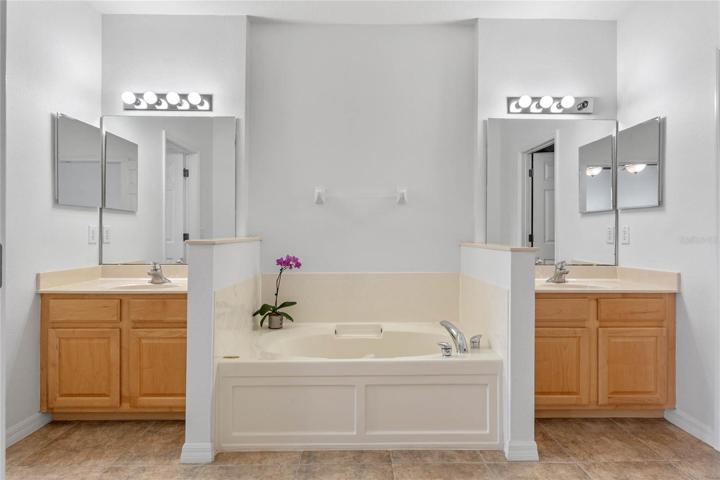 Master Bathroom Bath