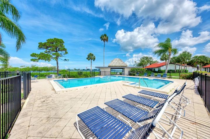 Pool with Bay Views