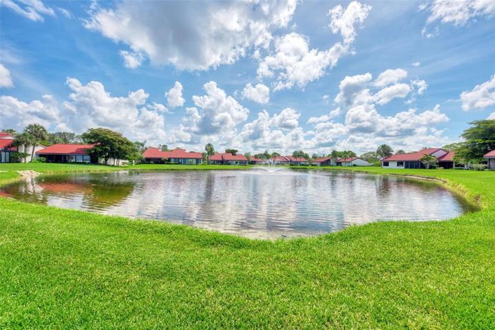 community pond with Water Feature