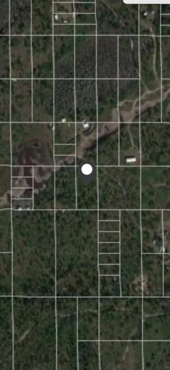 St Cloud, Florida 34771, 0 , 0 ,0,Land,For Sale,HOLOPAW GROVES,0,S5097120