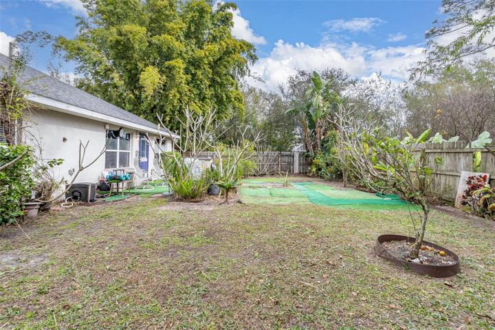 Side view of back yard