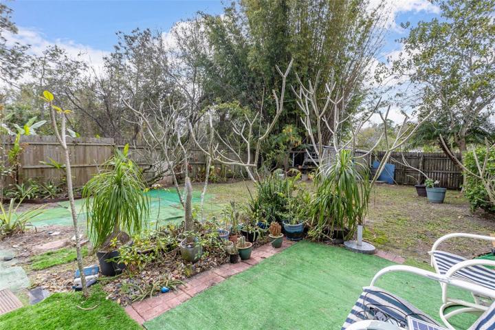 Back yard