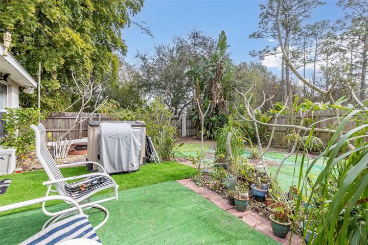 Back yard