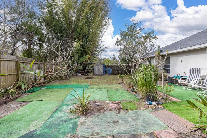 Side view of back yard