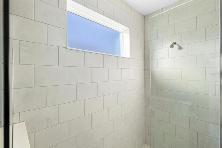 Primary Bathroom Shower