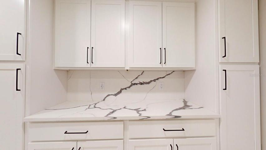 Custom butler pantry