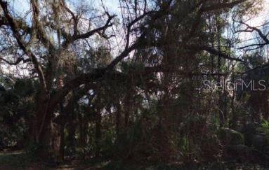 0 N. 7th Street, Fernandina Beach, FL