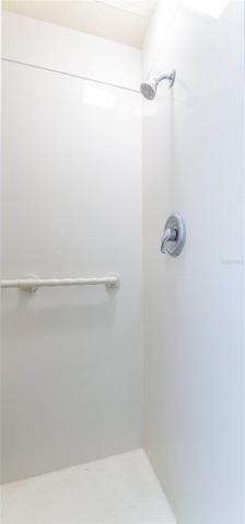 Master Bathroom shower with rails