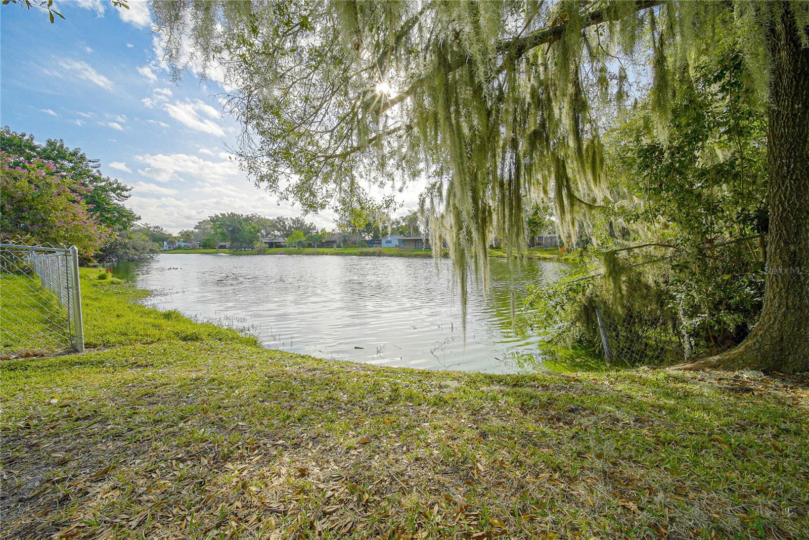 Lake view