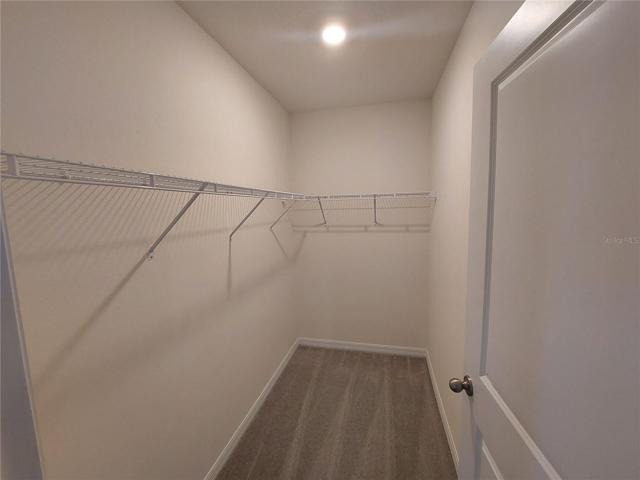 Master Closet walk in