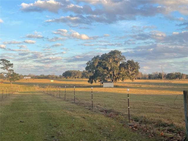 LOTS of Good Pasture