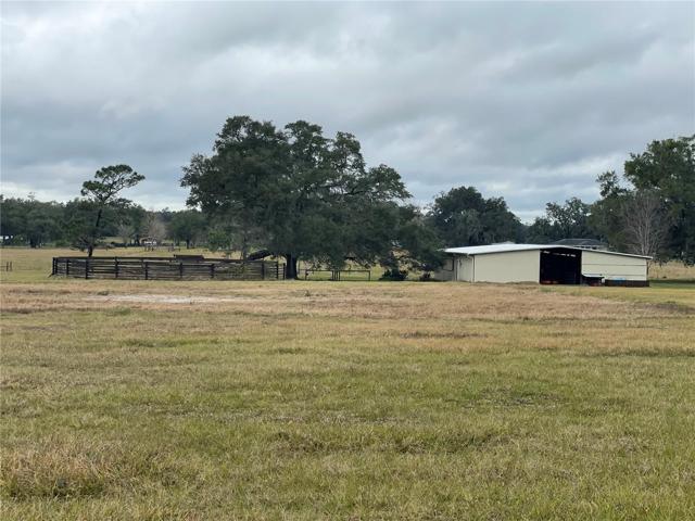 Back of Barn, Round Pen, Sand arena in front ( grassed over)