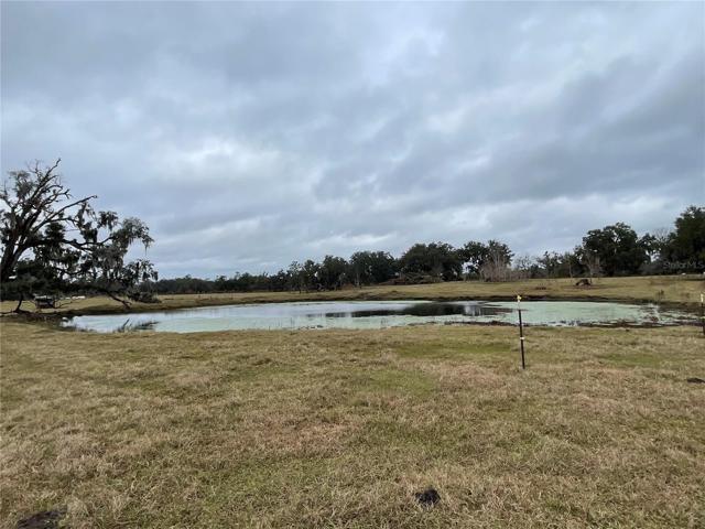 Pond