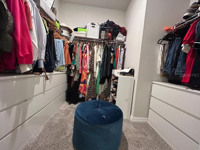 walking closet master