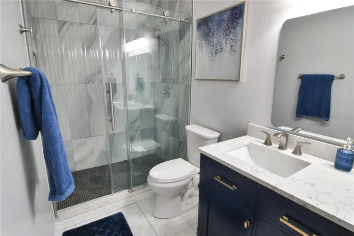 Primary Bath and Shower