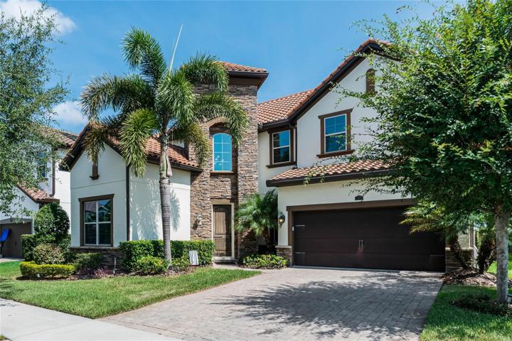 Beautiful stone accent