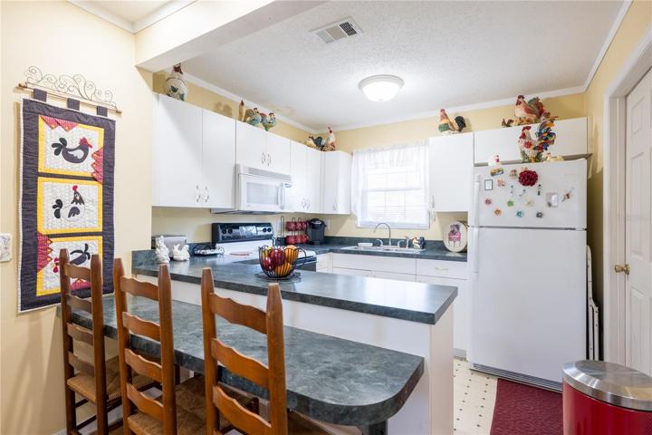 In-law suite kitchen