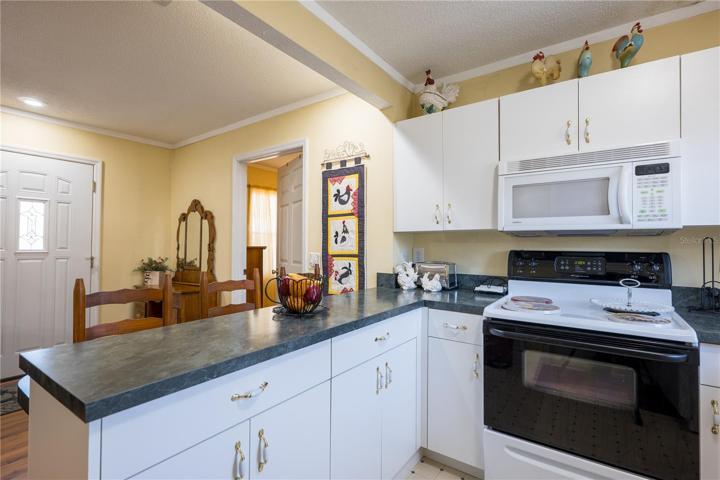 In-law suite kitchen